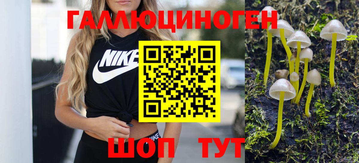 Псилоцибиновые грибы прущие грибы Симферополь
