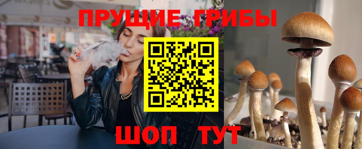 Симферополь  Галлюциногенные грибы ЛСД  Вход с VPN 